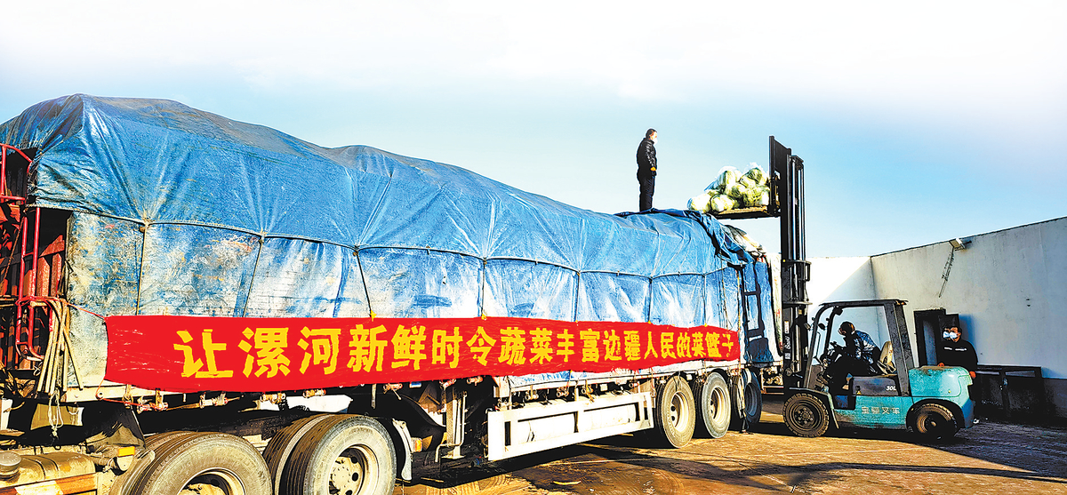 关爱你我他（她）·温暖千万家丨从单向援助向双向合作转变 河南时蔬端上哈密餐桌