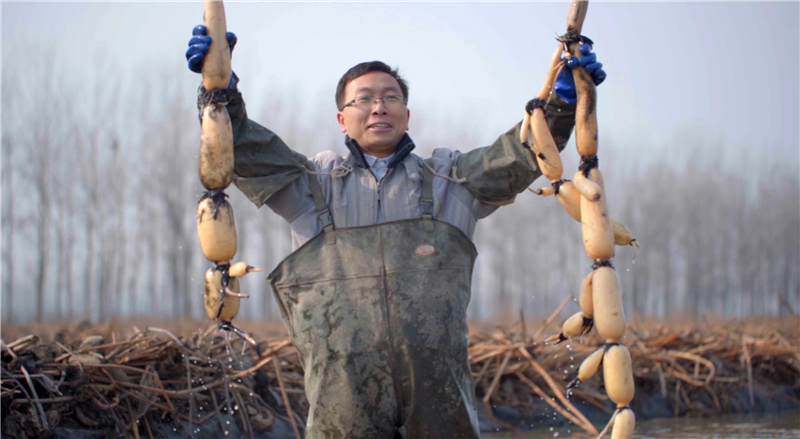 吕伟增：以农立心，扎根河南大地的“泥坑博士”