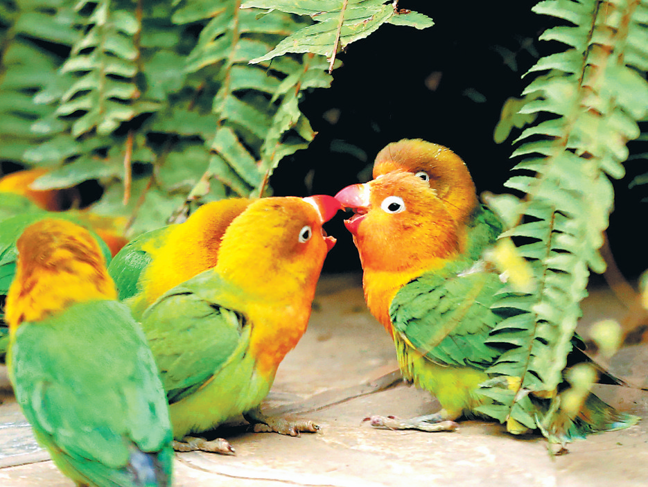 坚持精准施策 就地过个祥和年