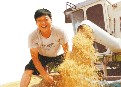 “中原糧倉”顯擔當