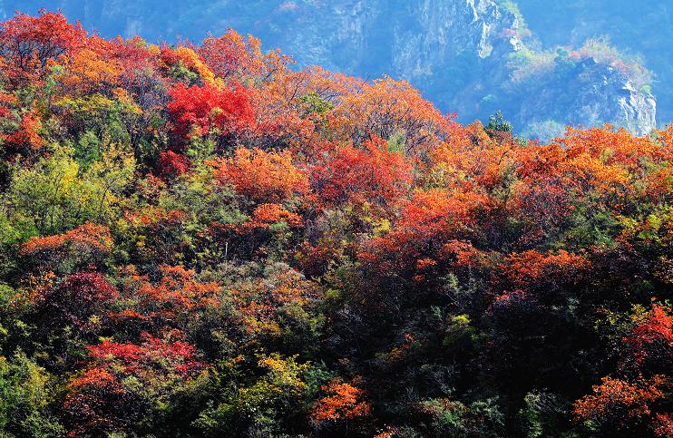 河南神农山自然风景图片