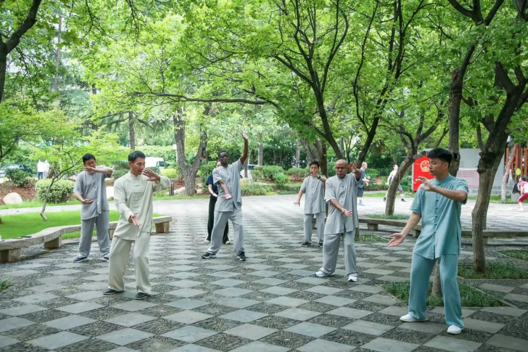 2023驻华外交官“发现中国之美”活动走进河南