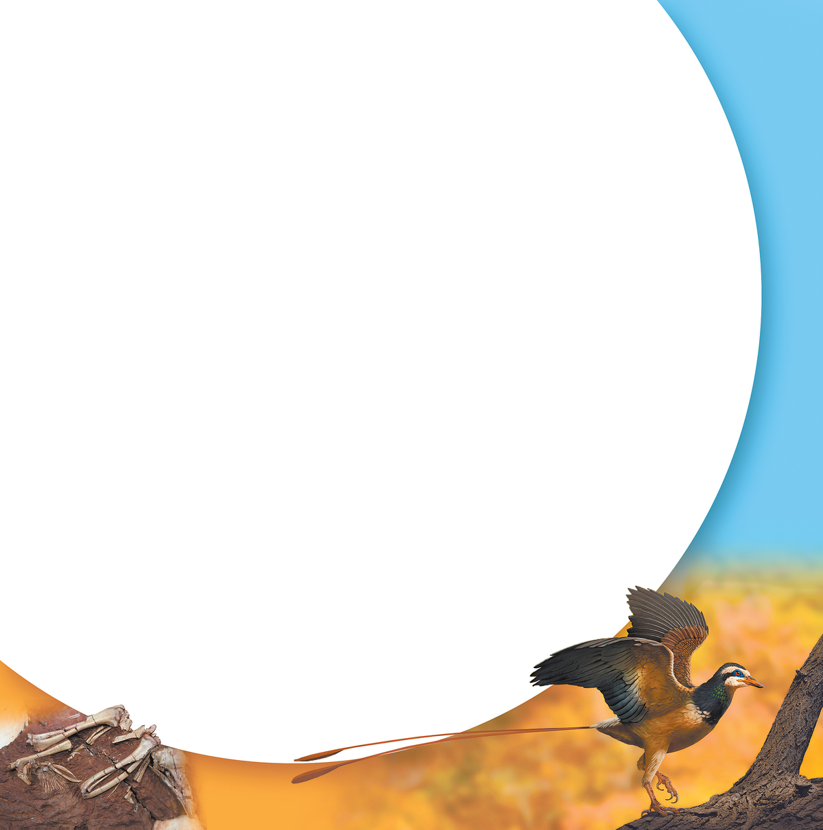 ̽ ׼ҹҼȻݳ