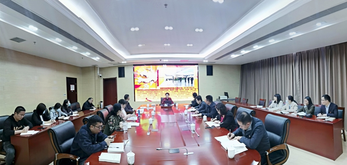 重温入党誓词，牢记初心使命  ——登记注册处党支部、直属分局党支部联合开展支部书记讲党课暨党史学习教育读书会