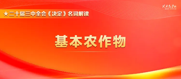 黨的二十屆三中全會(huì)《決定》名詞解讀 | 基本農(nóng)作物