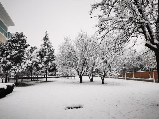 校园雪景