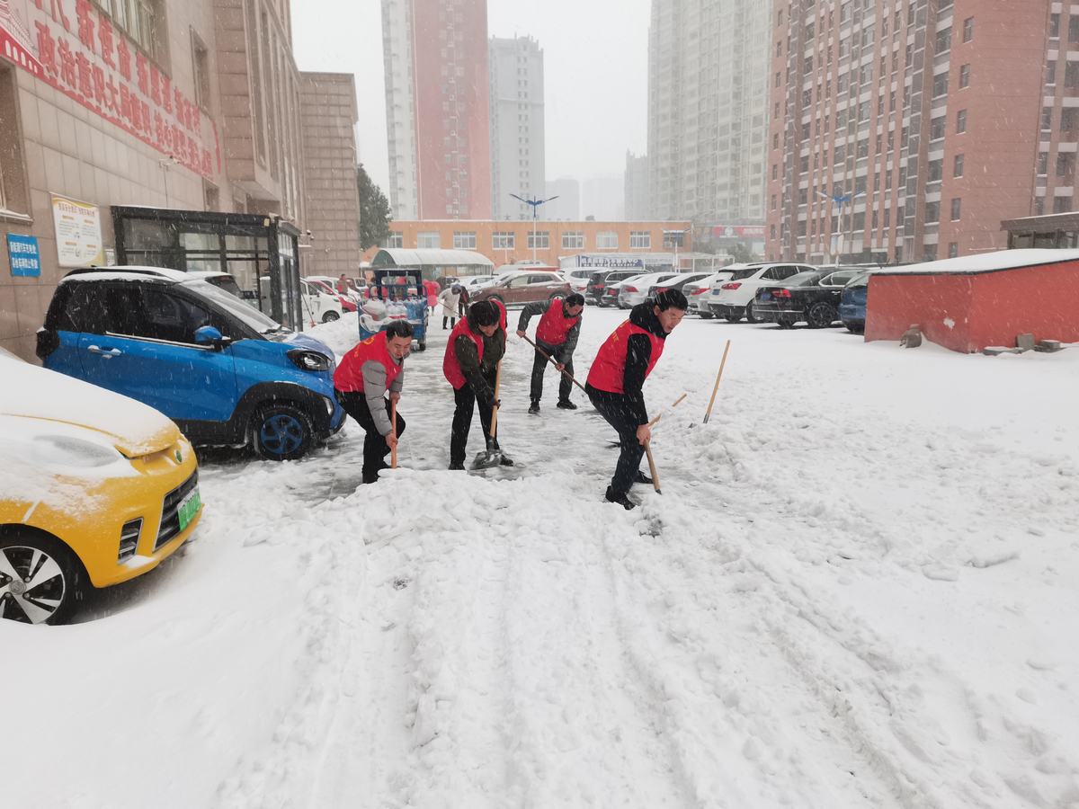 驻马店市审计局组织开展“清雪保畅通 文明我先行”新时代文明志愿服务活动