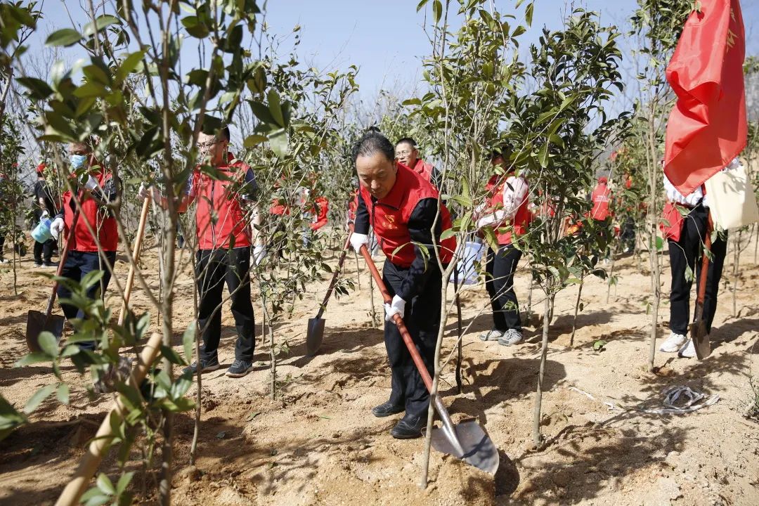 省药监局组织开展春季义务植树和旅行红色基地运动