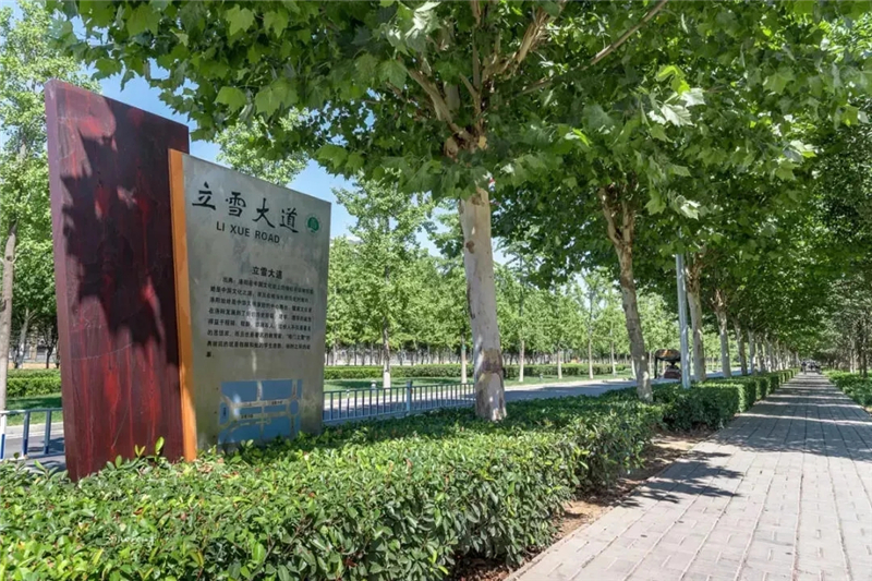 那些年，你走过的大学校园路