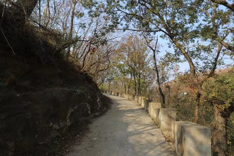 镇平：“微改造 精提升”让村民吃上“旅游饭”