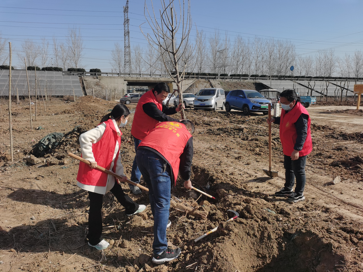 安阳市审计局开展世界地球日义务植树志愿服务活动