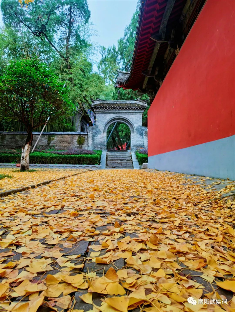 武侯祠——古老的红墙邂逅金黄的银杏叶