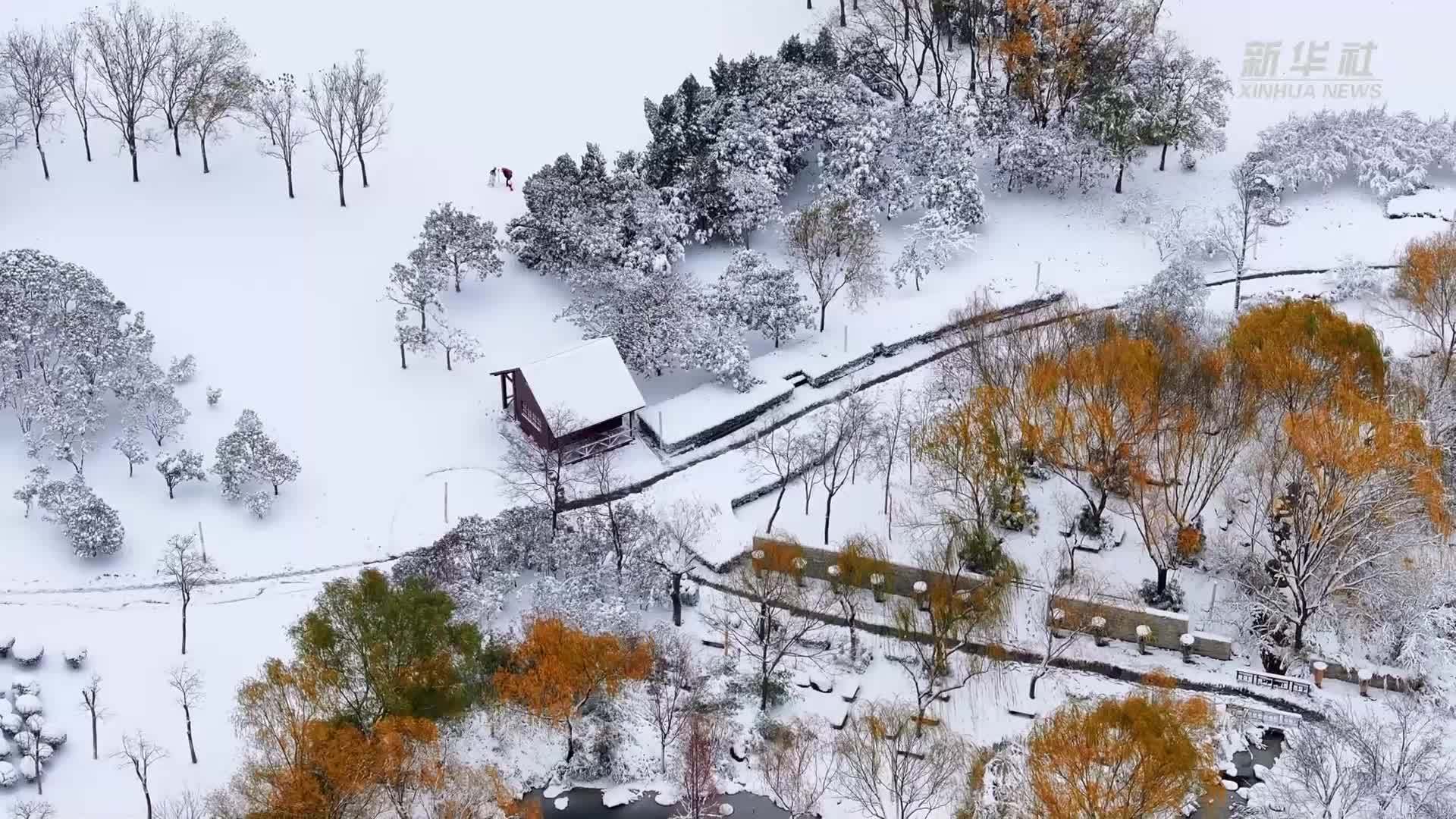 云赏商都绝美雪霁图- 河南省文化和旅游厅