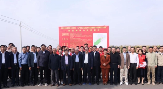 河南省玉米良種聯(lián)合攻關(guān)項(xiàng)目新品種展示觀摩暨現(xiàn)場(chǎng)推進(jìn)會(huì)在鶴壁召開