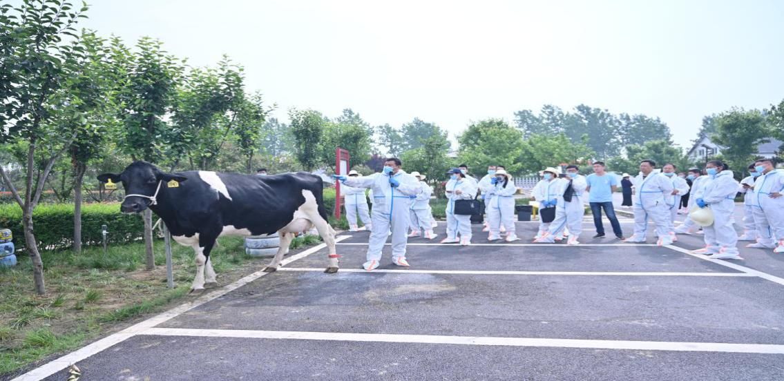  全省奶牛品种登记培训班暨奶业节本增效技术交流会成功举办