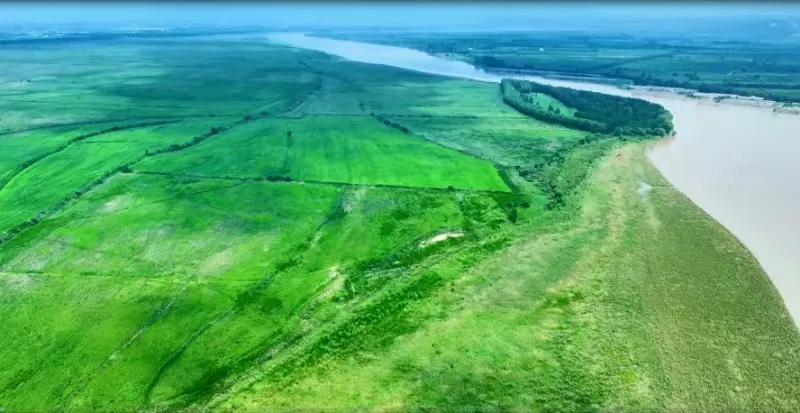生态修复出重拳  黄河湿地展新颜