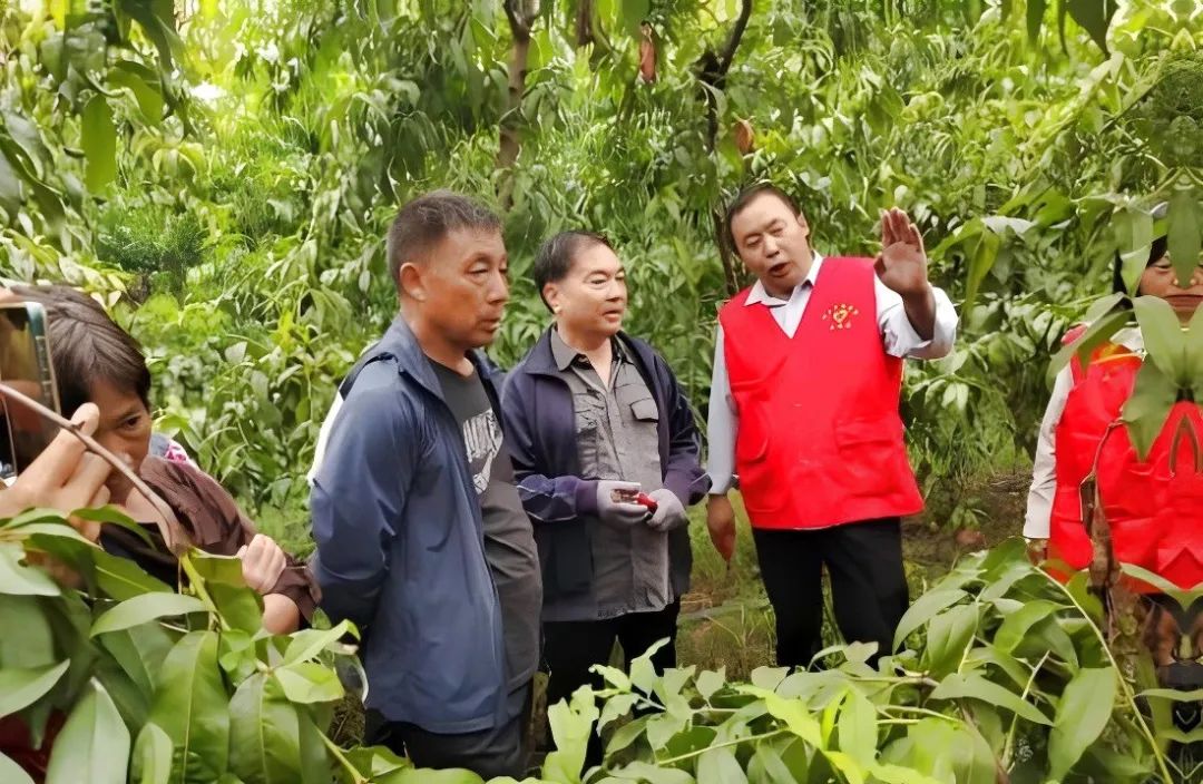 屏幕截图 2024-09-24 084413.jpg.jpg