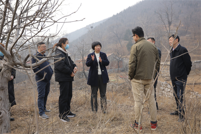 焦作解放区重大文旅项目起跑