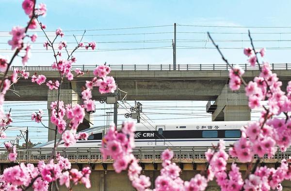 Blooming Flowers Meet a High-speed Train