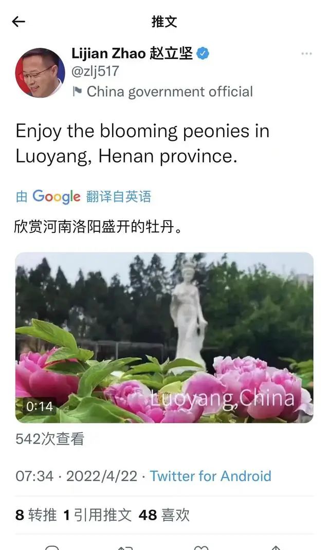 【行走河南·读懂中国】赵立坚推介洛阳牡丹 “云端”绽放受全球热捧