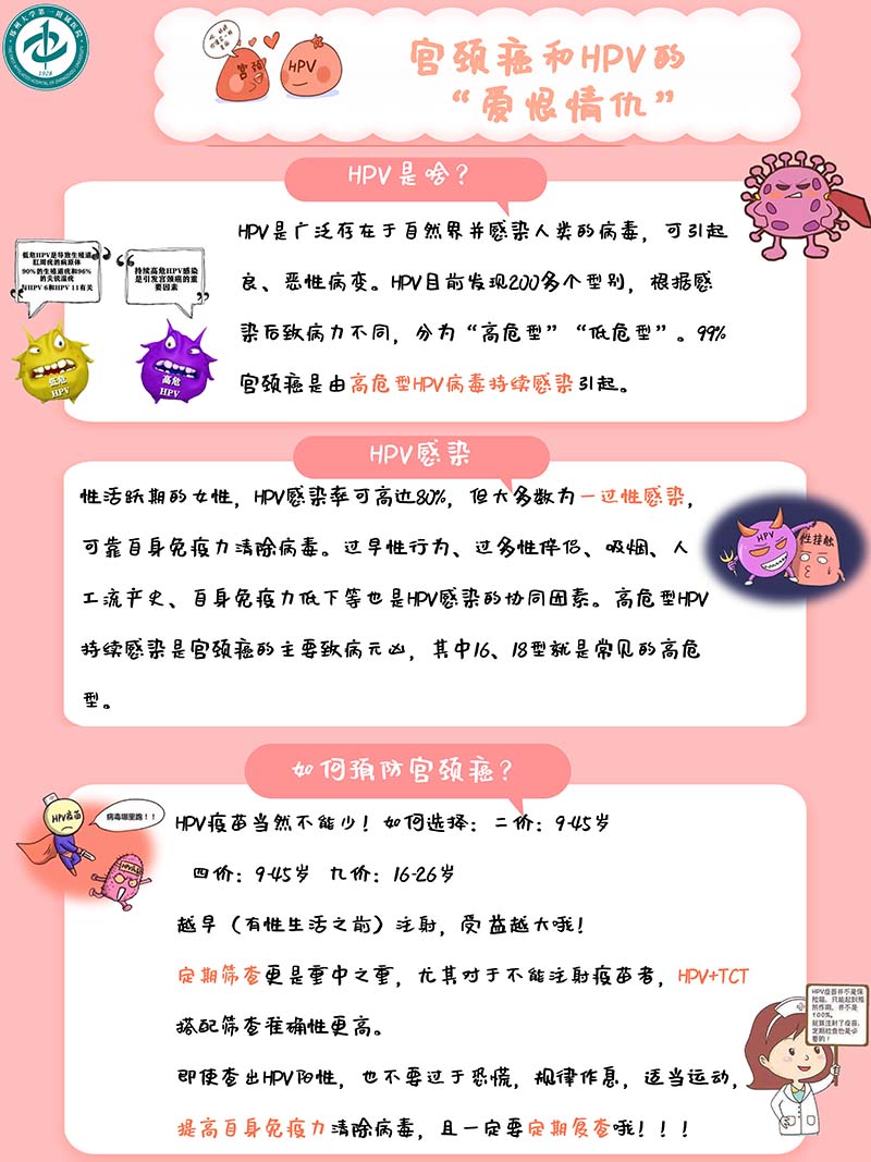 宫颈癌和HPV的爱恨情仇