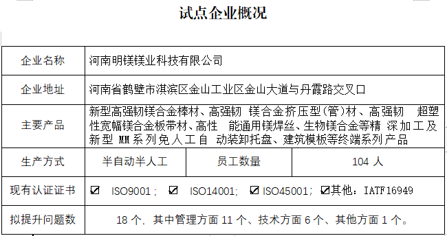 河南明镁镁业科技有限公司