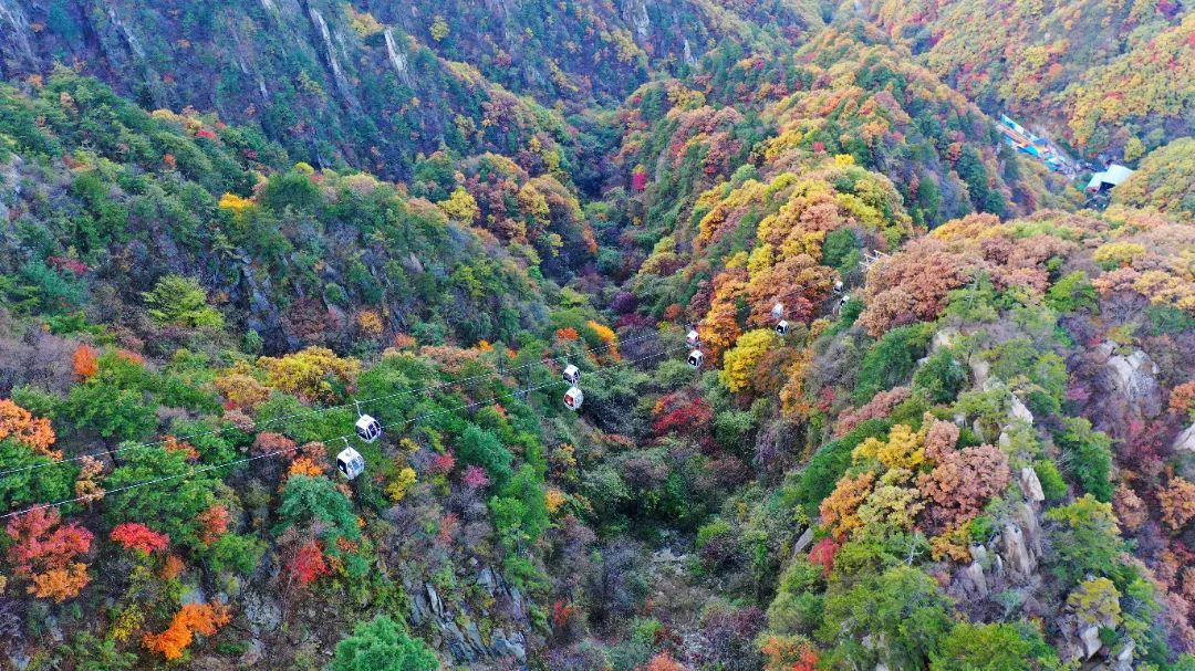 老界岭：深秋已至，万亩彩林蔚为壮观
