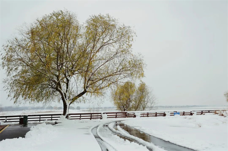 雪在黃河邊落成一幅畫