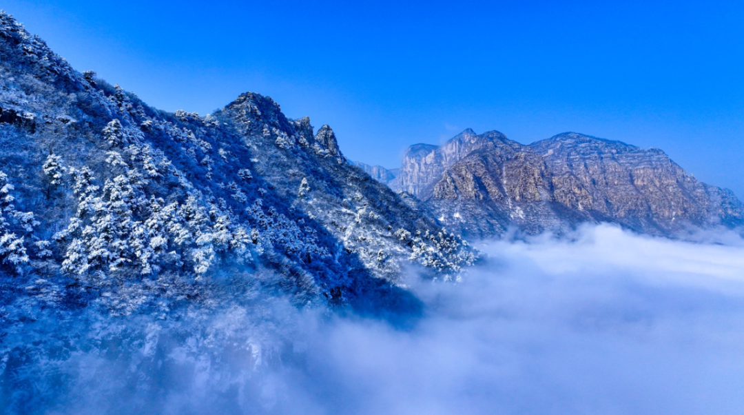 新乡“限定版”冬日美景