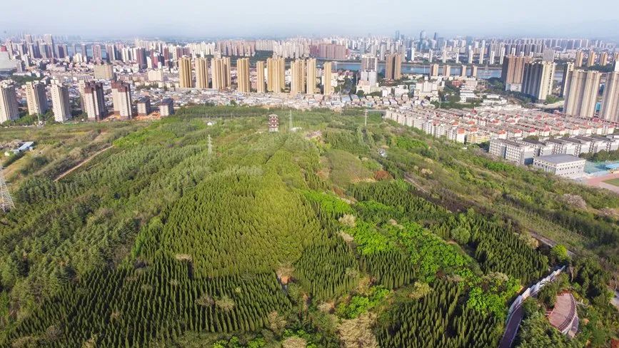 【行走河南·读懂中国】河南洛阳：“城市绿肺”周山森林公园