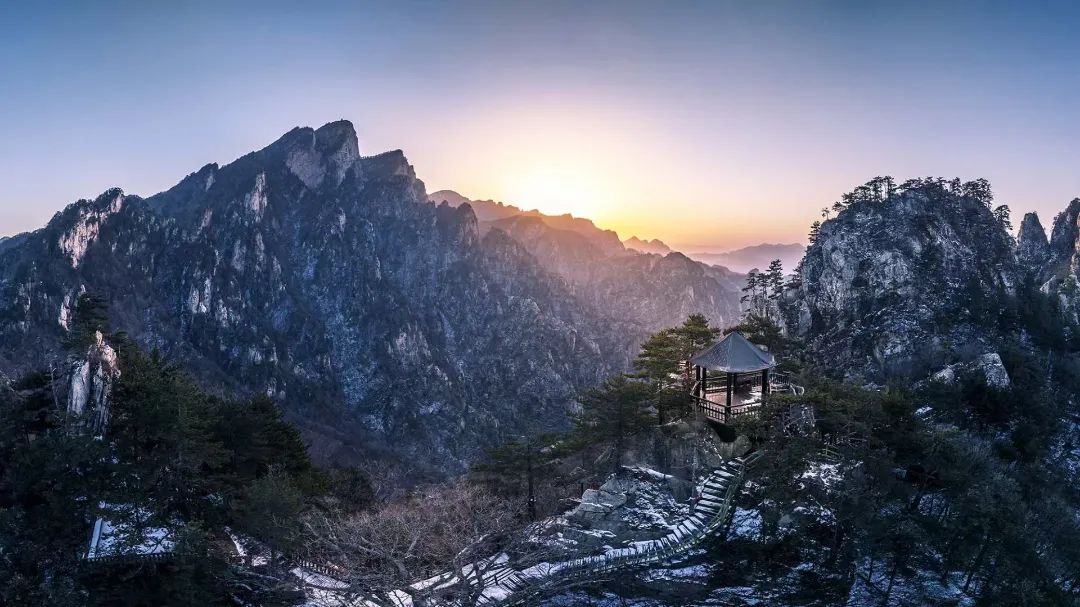 老界岭：一夜寒风起 万树银花开