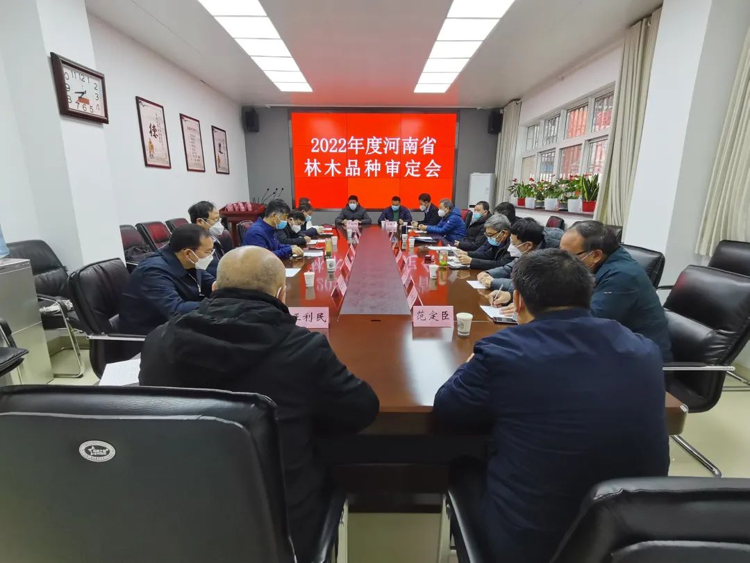 河南29个林木品种通过省级审（认）定初审