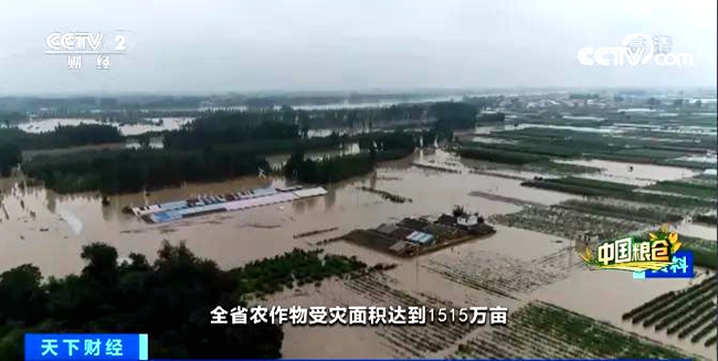 【央視財(cái)經(jīng)頻道重磅聚焦】河南省副省長武國定：暴雨洪災(zāi)致1515萬畝農(nóng)作物受災(zāi) 全省糧食全年總產(chǎn)量仍有望達(dá)1300億斤