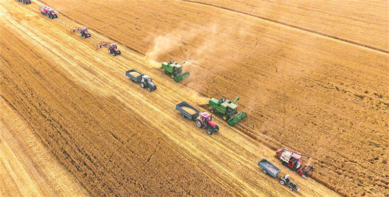 粮库gdp_福彩3d福粮库玄机图(3)