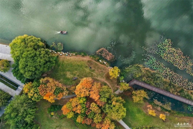 在新郑轩辕湖湿地公园 遇见斑斓多彩的初冬
