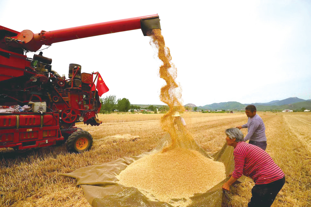 又是一个丰收年
