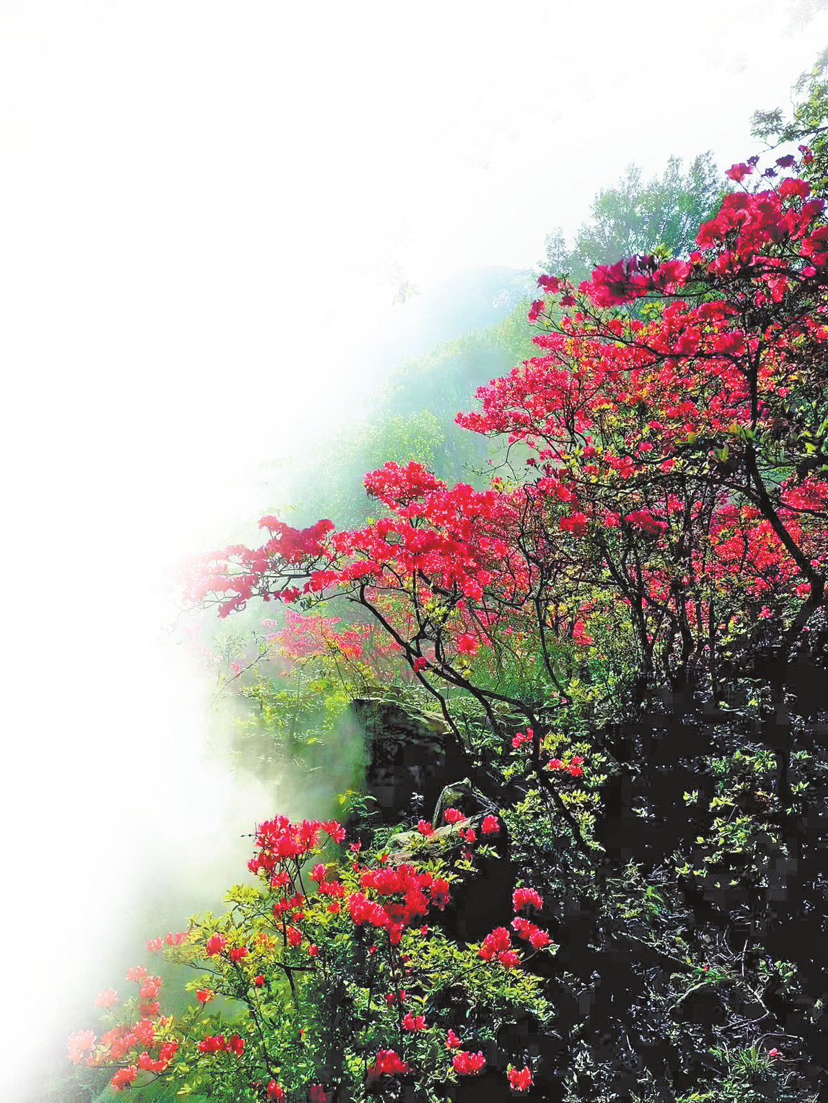 美丽河南·锦绣山河行丨河南的山:红绿相映大别山 美丽河南·锦绣山河行丨河南的山:红绿相映大别山