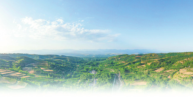 出彩河南 圆梦小康：关庙村为啥有俩党支部