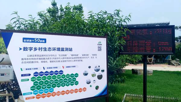 【“六稳”“六保”看河南】来鹤壁这个硅谷，看“互联网+农业”怎么做