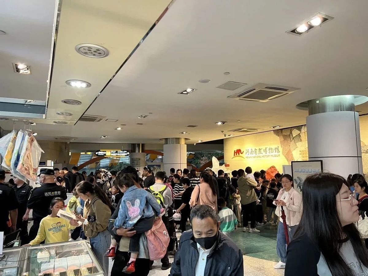 河南自然博物馆双节观众爆棚