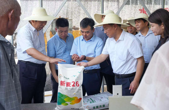 种业管理司到我省调研小麦种子供需情况