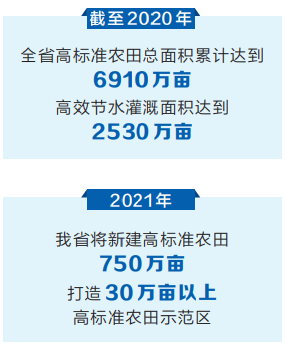 高标准农田“绘制”田间新图景