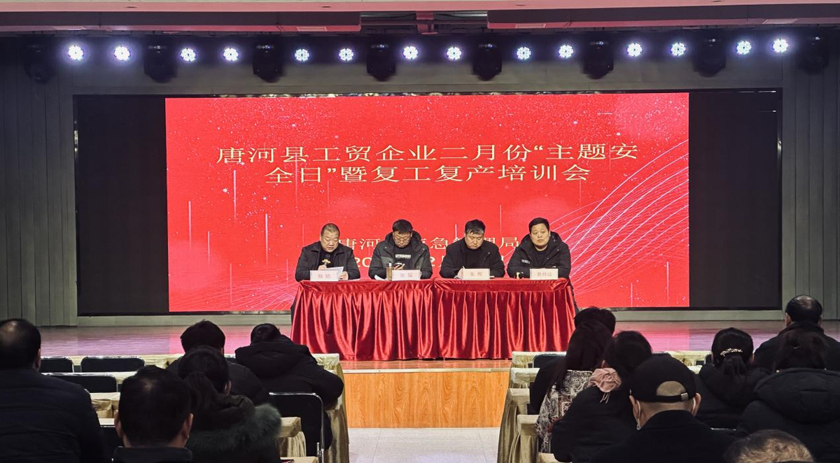 唐河县应急管理局组织召开工贸企业二月份“主题安全日”暨节后复工复产培训会