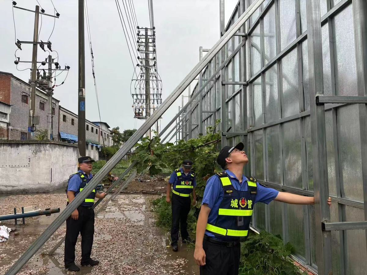 开展户外广告设施检查 全力应对大风暴雨天气