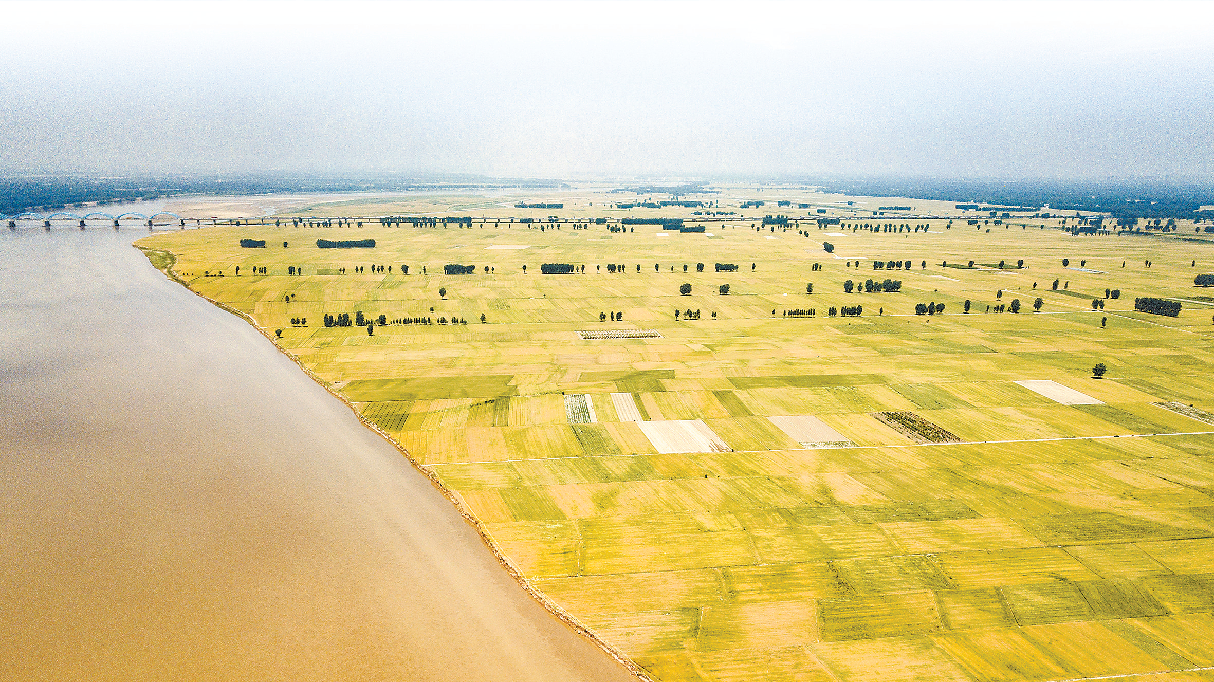 唱响“大合唱”建好“幸福河”——来自河南的代表委员热议黄河流域生态保护和高质量发展