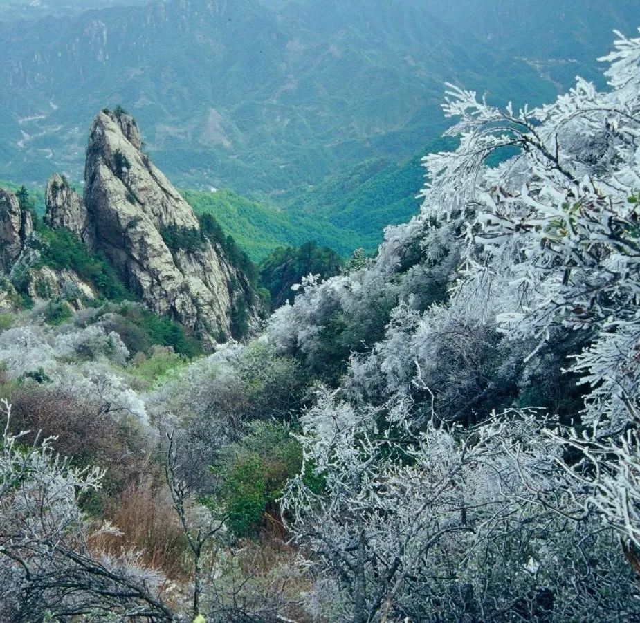 穿越时间长河，云赏老君山历年雪景