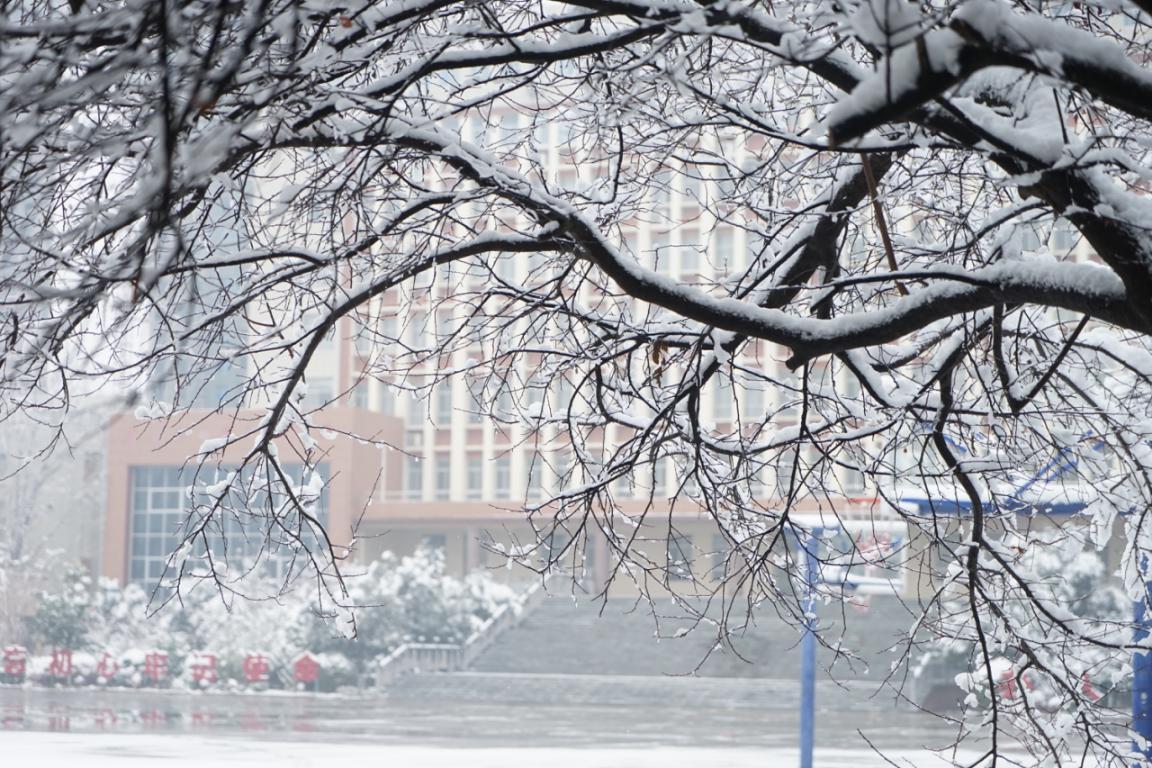 白鹭洲中学雪景图片