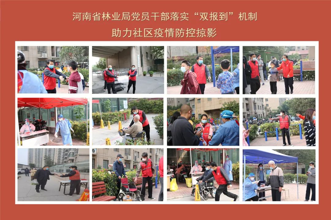 省林业局持续开展党员“双报到”助力疫情防控工作