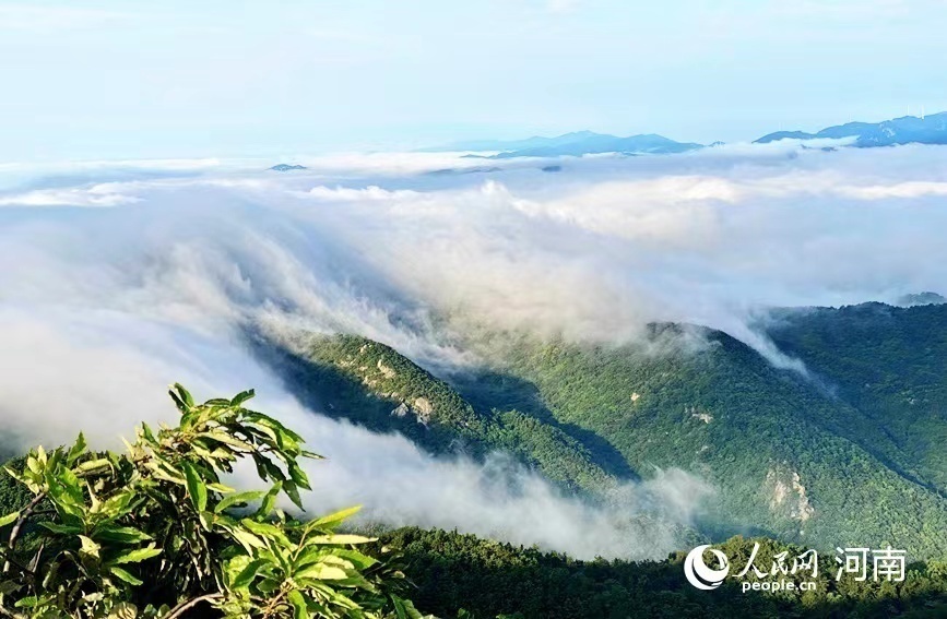 【行走河南·读懂中国】<br>鸡公山：雨后云海美如画