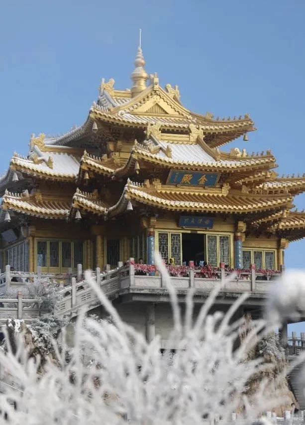 穿越时间长河，云赏老君山历年雪景